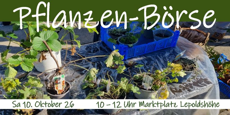 Immer wieder Pflanzenbörse