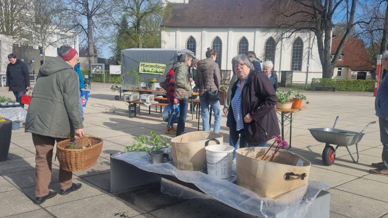 Viel Sonne und viele Pflanzen