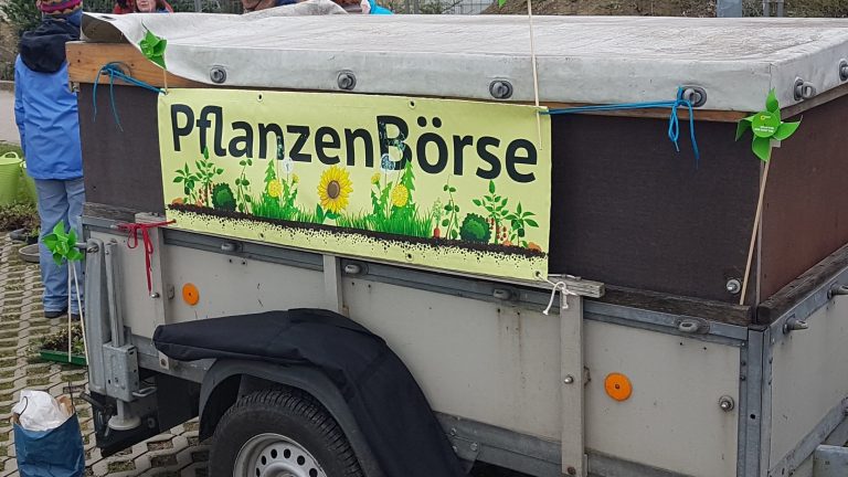 Danke fürs Mitmachen! Info Saatmischung Blumenwiese