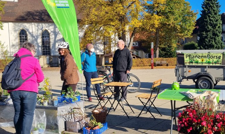 Kalt und sonnig: Pflanzen gesucht und gefunden